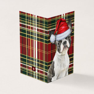 Boston Terrier Christmas Dog Holiday Plaid