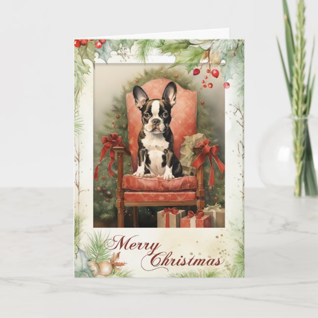 Boston Terrier Christmas Holiday Card (Front)