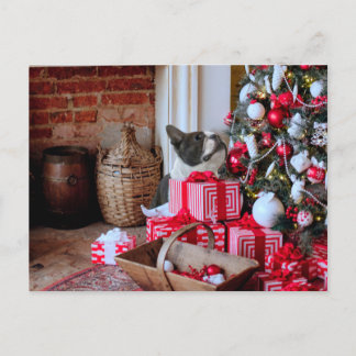 Boston Terrier Christmas Holiday Postcard