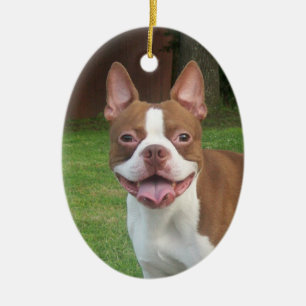 Boston Terrier Christmas Ornament