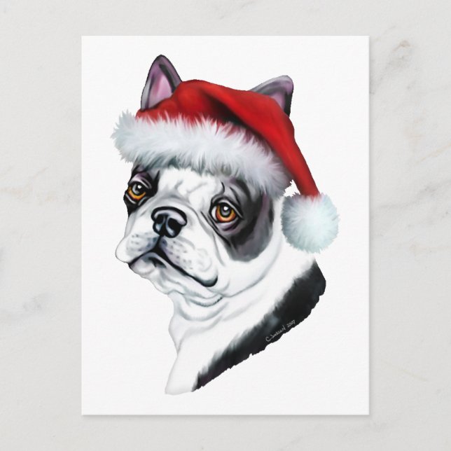Boston Terrier Christmas Santa Holiday Postcard (Front)