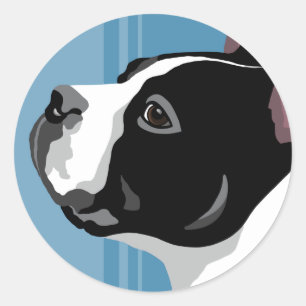 Boston Terrier Classic Round Sticker