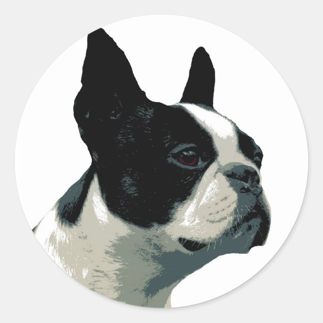 Boston Terrier Classic Round Sticker (Front)