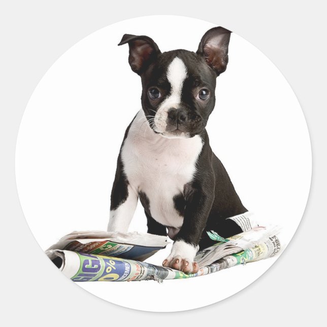 BOSTON TERRIER CLASSIC ROUND STICKER (Front)