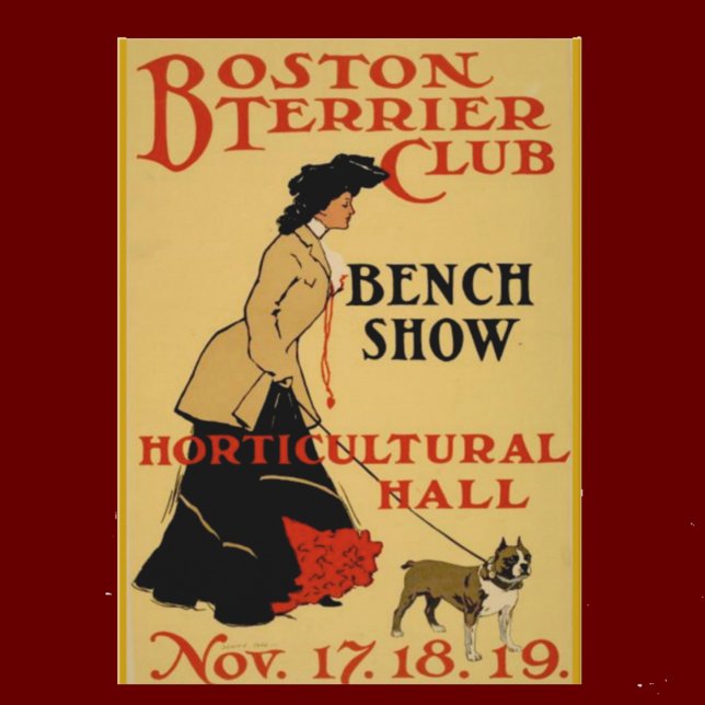 Boston Terrier Club Postcard (Creator Uploaded)