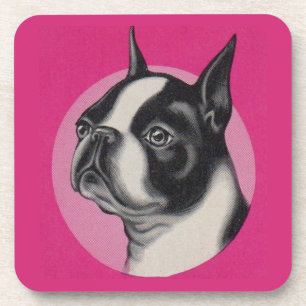  Boston terrier  Coaster