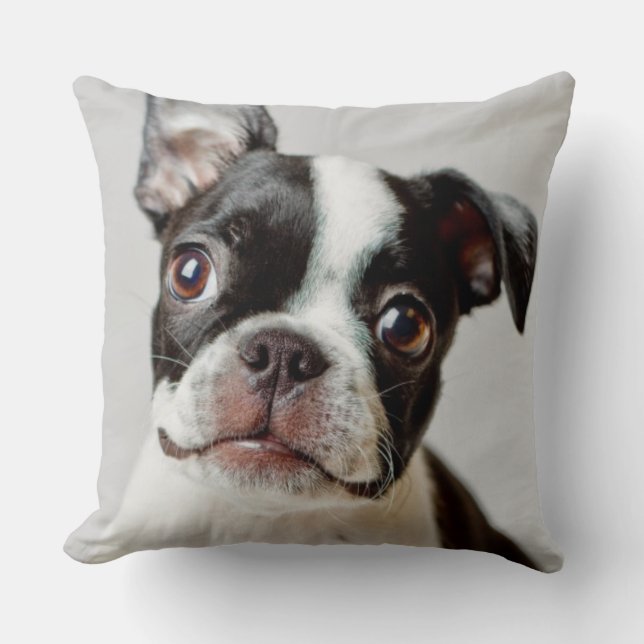 Boston Terrier Cushion (Front)