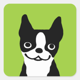 Boston Terrier - Cute Dog Square Sticker