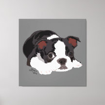 Boston Terrier Cute Puppy Aesthetic Fine Art