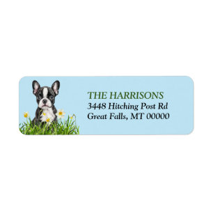 Boston Terrier Daffodil Garden Return Address