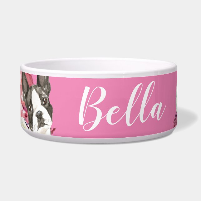 Boston Terrier Dog (Front)