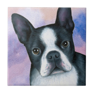 Boston Terrier Dog 128 pink blue Tile