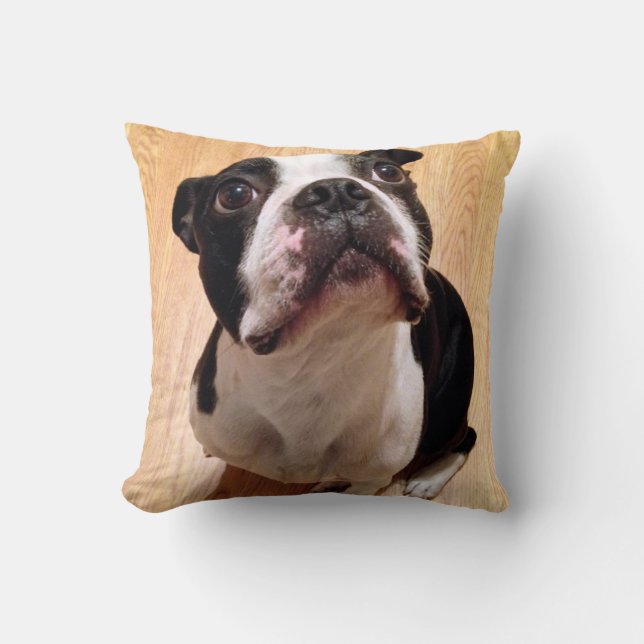 Boston Terrier Dog Cushion (Front)
