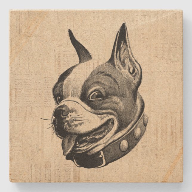 Boston Terrier Dog Cute Pet Dog Antique Art Stone Coaster (Front)