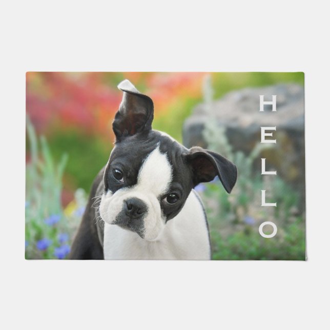 Boston Terrier Dog Cute Puppy Animal Head - Hello Doormat (Front)