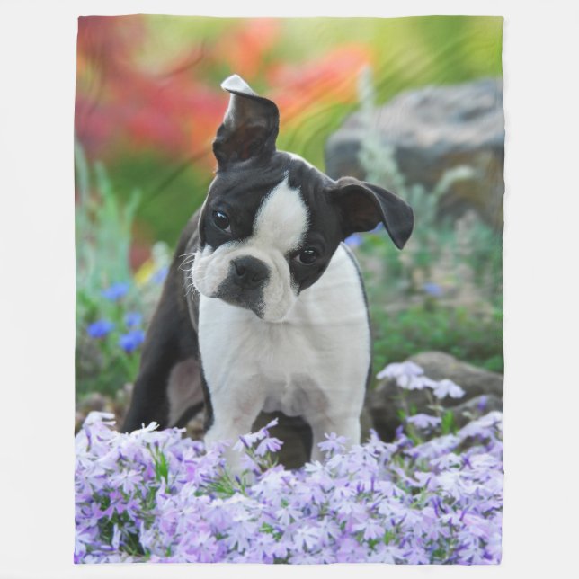 Boston Terrier Dog Cute Puppy Animal Head Photo - Fleece Blanket (Front)