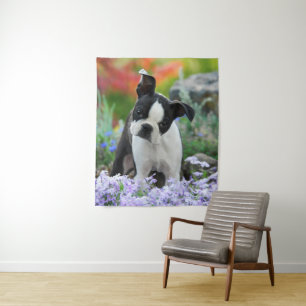 Boston Terrier Dog Cute Puppy Animal Head Photo -- Tapestry