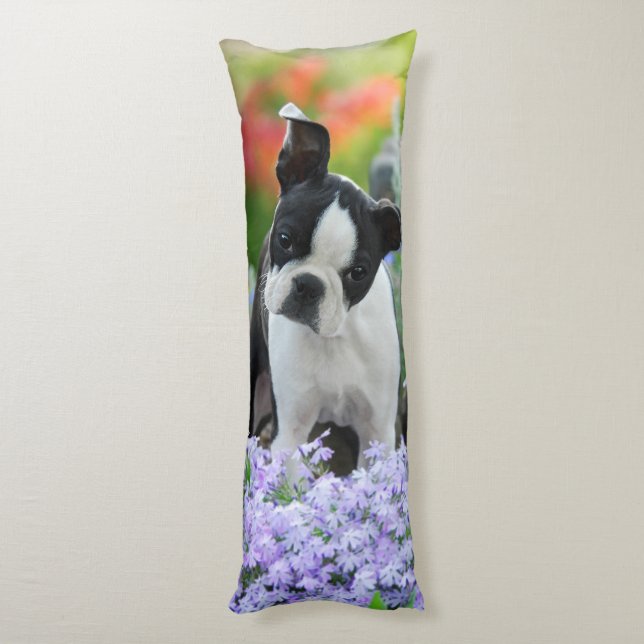 Boston Terrier Dog Cute Puppy, cuddly Body Cushion (Back (Vertical))