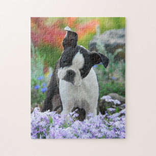 Boston Terrier Dog Cute Puppy Game 11x14 Jigsaw Puzzle