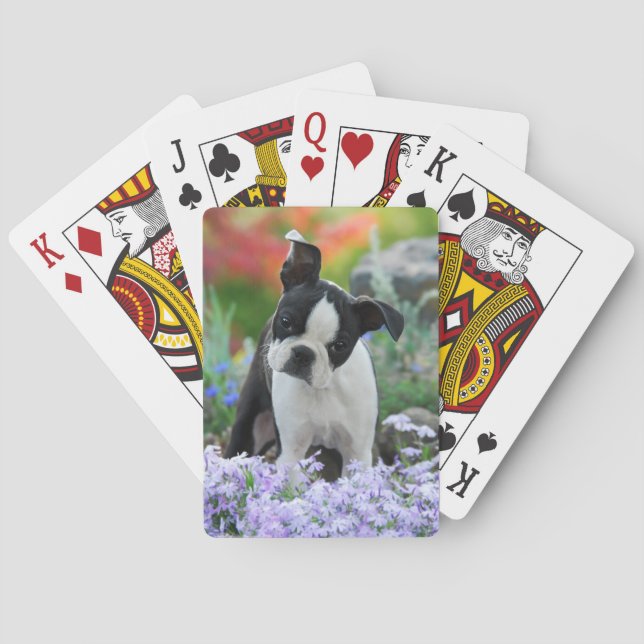 Boston Terrier Dog Cute Puppy in Flowers - Playing Cards (Back)
