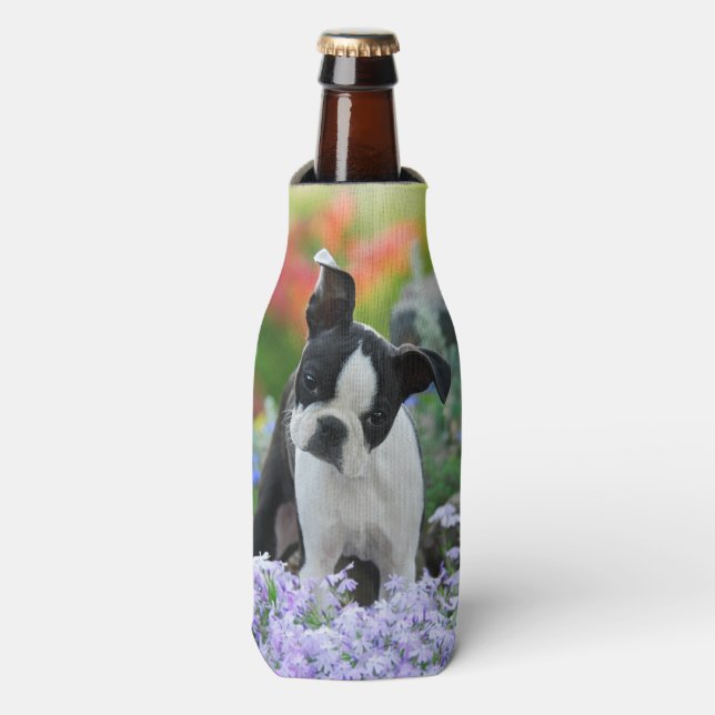 Boston Terrier Dog Cute Puppy Photo, Bottle-Jacket (Bottle Front)