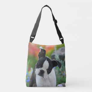 Boston Terrier Dog Cute Puppy Photo on Crossbody Crossbody Bag