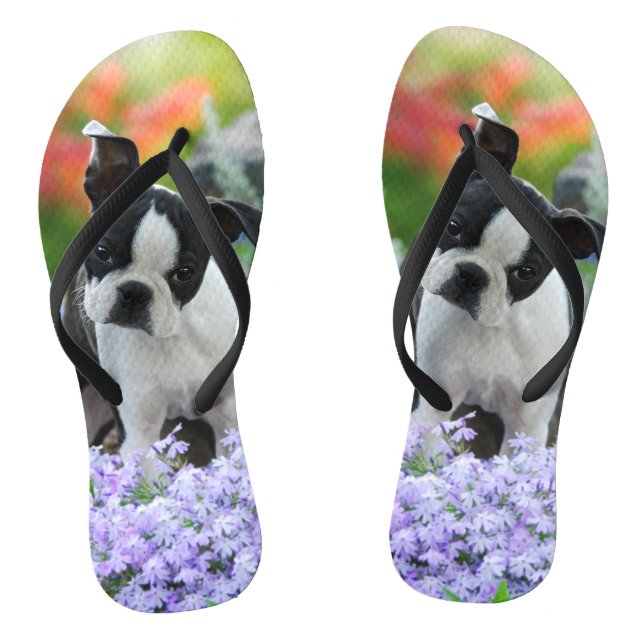 Boston Terrier Dog Cute Puppy Portrait Pet Photo - Flip Flops (Footbed)