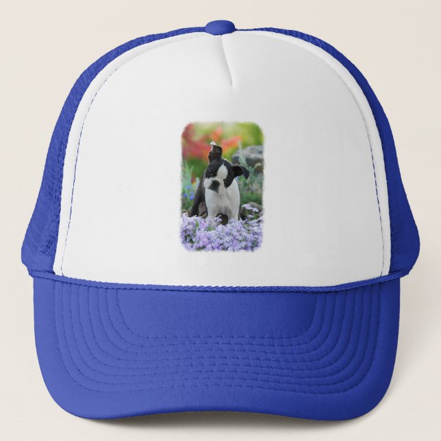 Boston Terrier Dog Cute Puppy Portrait Photo - Trucker Hat (Front)