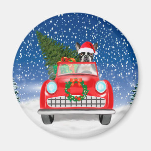 Boston terrier Dog Driving Car In Snow Christmas Magnet