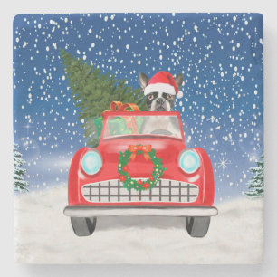 Boston terrier Dog Driving Car In Snow Christmas  Stone Coaster
