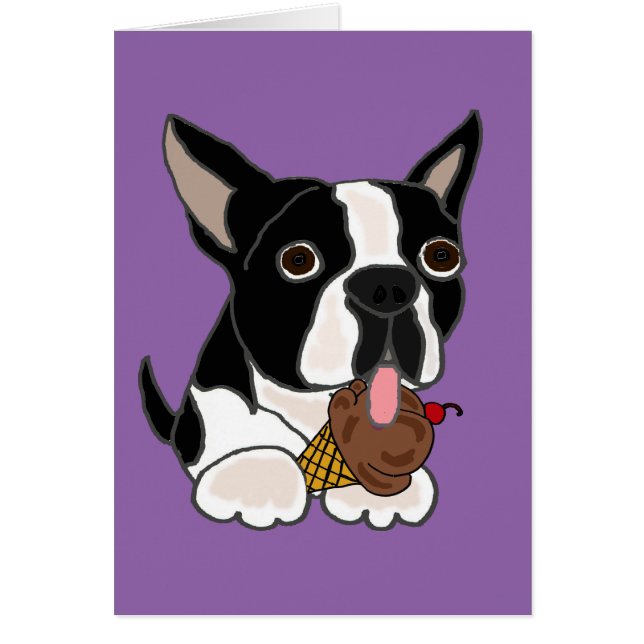 Boston Terrier dog Eating Ice Cream (Front)