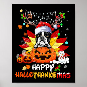 Boston Terrier Dog Halloween And Merry Christmas  Poster