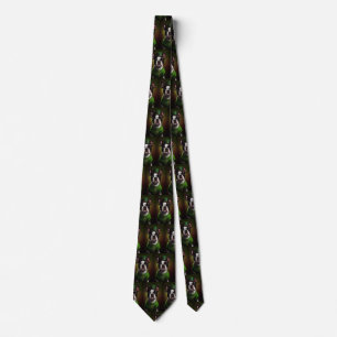 Boston Terrier dog in St. Patrick's Day Dress Tie