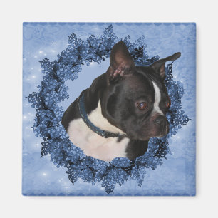 Boston Terrier Dog Magnet