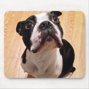 Boston Terrier Dog Mouse Mat