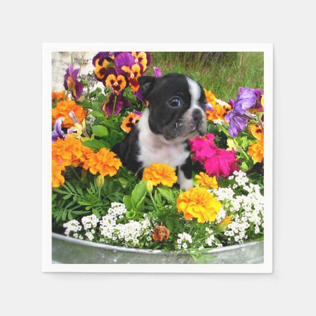 Boston Terrier dog Napkin (Front)