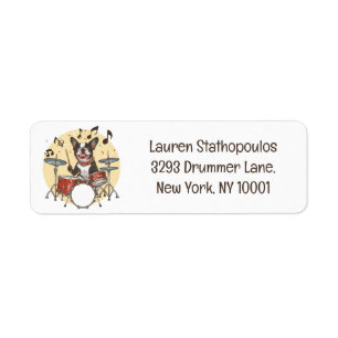 Boston Terrier Dog Playing Drums