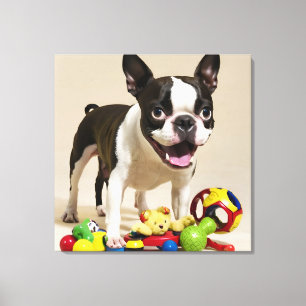 Boston Terrier Dog Playing with Toys Canvas Print