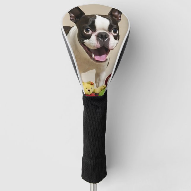 Boston Terrier Dog Playing with Toys Golf Head Cover (Front)