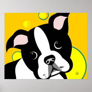 Boston Terrier Dog Poster