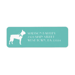 Boston Terrier Dog Puppy