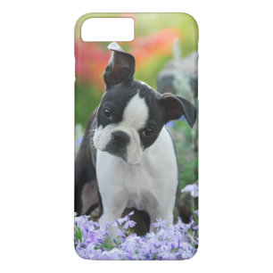 Boston Terrier Dog Puppy iPhone 8 Plus/7 Plus Case