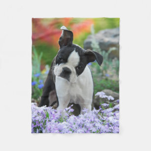 Boston Terrier Dog Puppy comfy Fleece Blanket