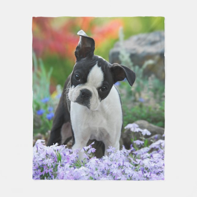 Boston Terrier Dog Puppy cosy Fleece Blanket (Front)
