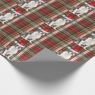 Boston Terrier Dog Red Green Plaid Christmas Wrapping Paper