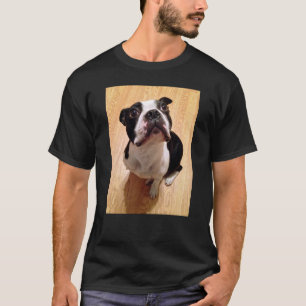 Boston Terrier Dog T-Shirt