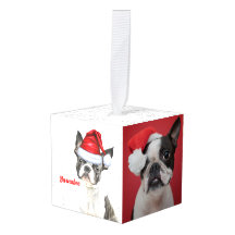 Boston Terrier Dog Two Photo Christmas Holiday