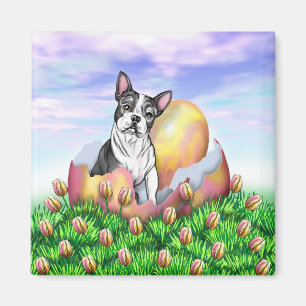 Boston Terrier Easter Surprise Magnet