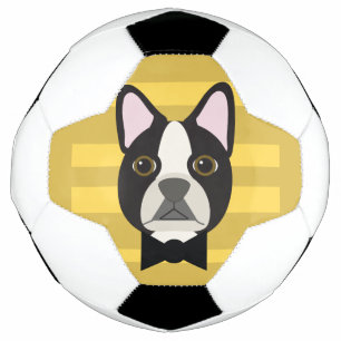 Boston Terrier Football