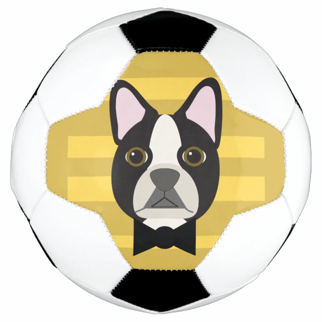 Boston Terrier Football (Front)